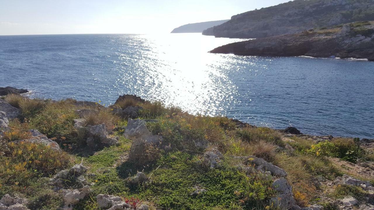 La Terrazza Sul Mare - Marina Di Novaglie *